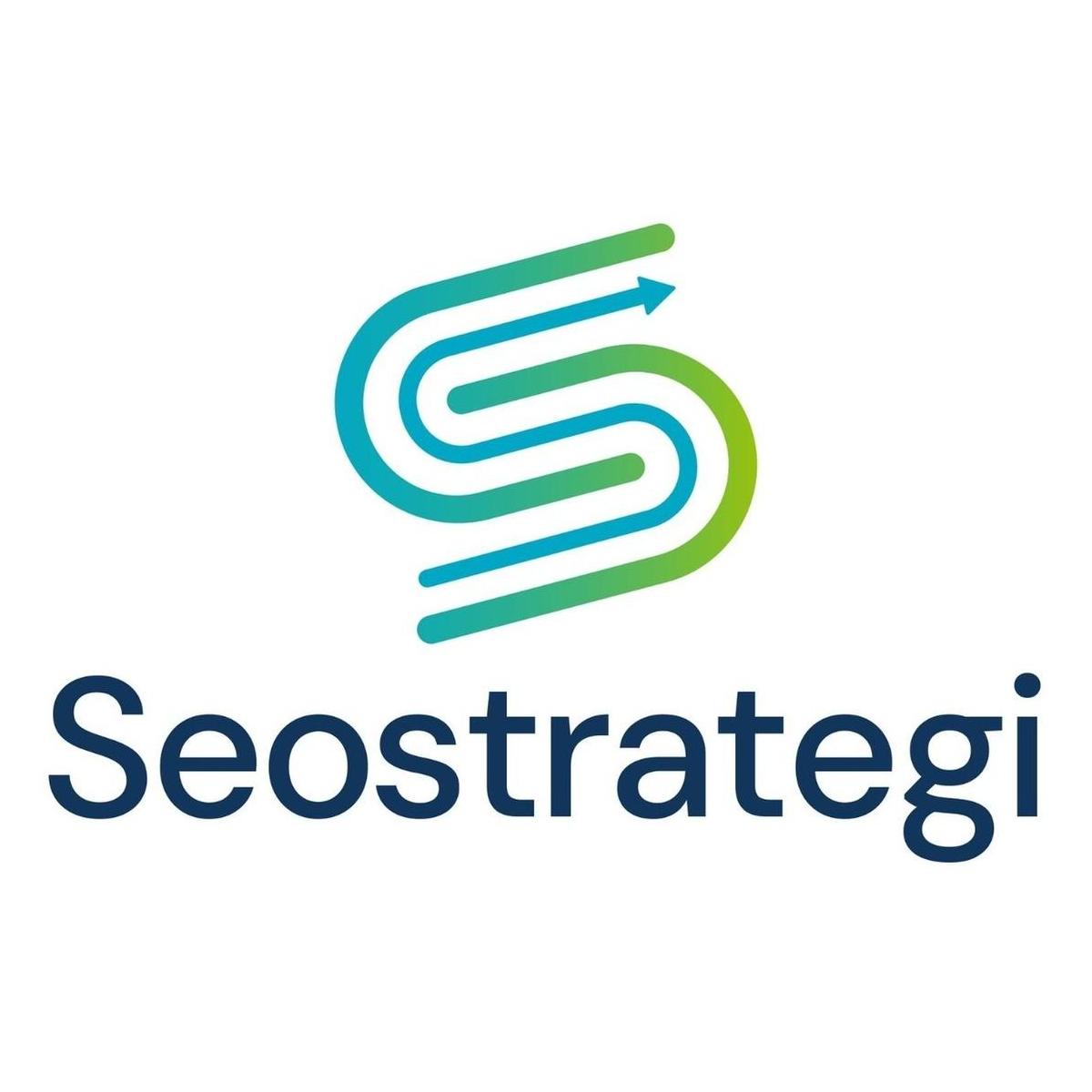 seostrategi