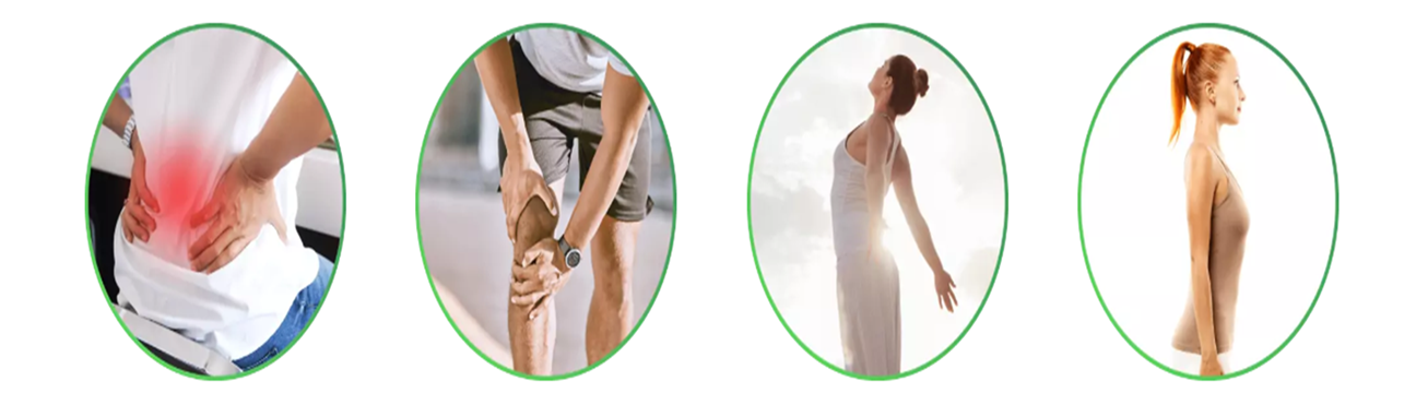 theholisticmove